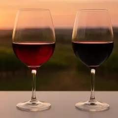 Zwei Gläser Rotwein, ein hellerer Cabernet Sauvignon und ein dunklerer Merlot, stehen vor einem Weinberg bei Sonnenuntergang.