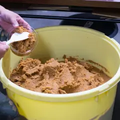 Eine Hand schöpft Miso-Paste aus einem großen Behälter. Die Frage, wie lange ist Miso Paste haltbar, ist wichtig für die Lagerung.