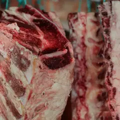 Mehrere grobe Stücke gereiftes Fleisch hängen an Haken. Die Fleischstücke zeigen deutliche Marmorierung und Fettanteile.