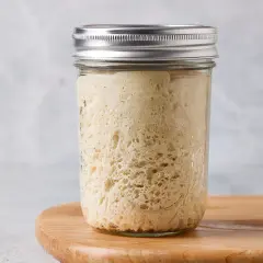 Aktiver Sauerteig im Glas, bereit für die nächste Brotbäckerei. So lässt sich Lievito Madre aufbewahren.