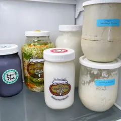 Milchkefir und Sauerteig im Kühlschrank für den Urlaub aufbewahren. Mehrere Gläser mit fermentierten Lebensmitteln, darunter Joghurt und Sauerkraut.