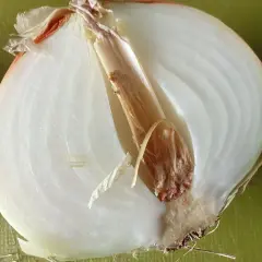 Schnittzwiebel mit braunem Kern und welken Schichten. So erkennst du schlechte Zwiebeln.