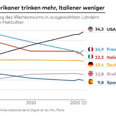 Linien-Diagramm zeigt Weinkonsum-Entwicklung. USA steigt, Italien sinkt. Frankreich, Deutschland, Großbritannien, Spanien ebenfalls dargestellt. Die rangliste weinproduktion weltweit ändert sich.