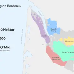 Karte des **Weinbaugebiets Bordeaux** mit Anbauflächen wie Médoc, Graves & Sauternes, Entre-Deux-Mers. Zeigt 110.800 Hektar Anbaufläche.