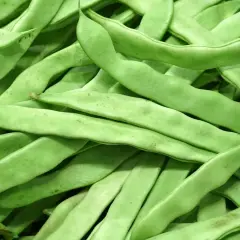 Frische, grüne Brechbohnen, bereit für die **Bohnen Saison**. Ein Haufen knackiger Leckereien.