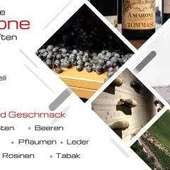 Frische Amarone Trauben, Flaschen und ein Glas Rotwein. Aromen von Beeren, Kirschen und Tabak.