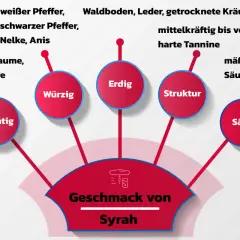 Der Geschmack von Syrah: fruchtig, würzig, erdig, mit Struktur und Säure. Noten von Brombeere, Pfeffer, Leder und Kräutern.