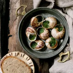 Schnecken in Kräuterbutter, serviert mit Brot. Ein Blick auf die Zubereitung verrät, wie schmecken Schnecken: zart und würzig.