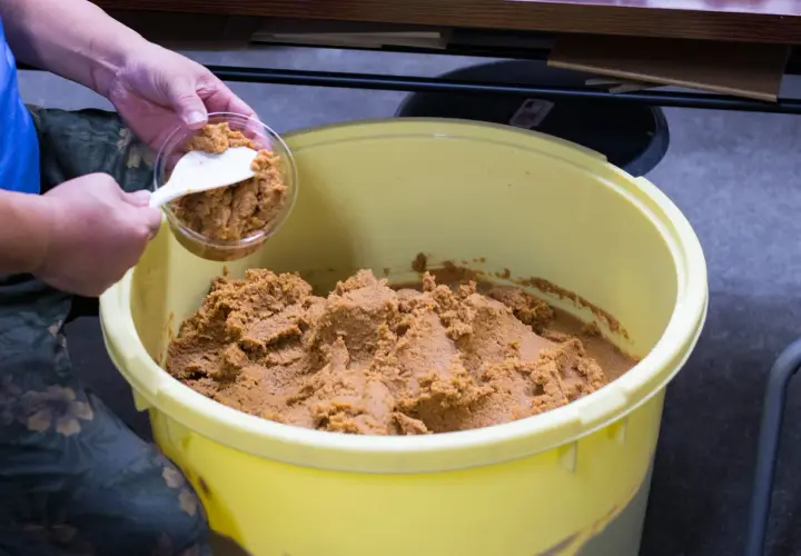Eine Hand schöpft Miso-Paste aus einem großen Behälter. Die Frage, wie lange ist Miso Paste haltbar, ist wichtig für die Lagerung.