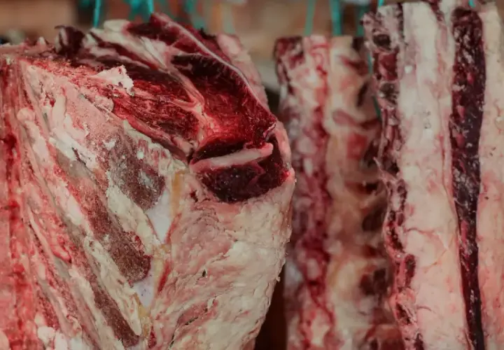 Mehrere grobe Stücke gereiftes Fleisch hängen an Haken. Die Fleischstücke zeigen deutliche Marmorierung und Fettanteile.