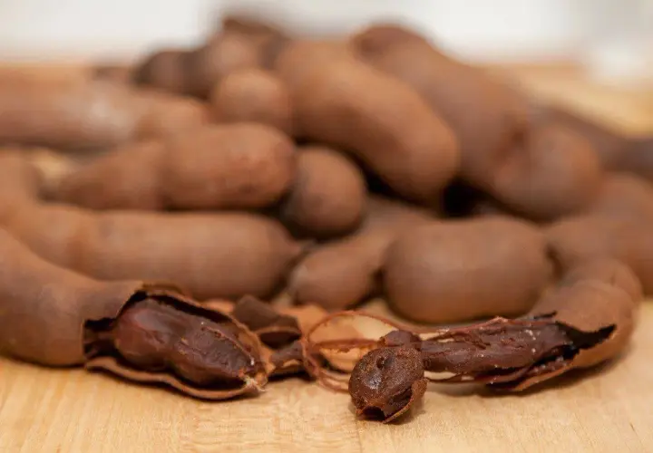 Ein Haufen brauner Tamarindenfrüchte, eine davon geöffnet, zeigt das dunkle Fruchtfleisch. Vielseitige Tamarinde Verwendung in Küche und Medizin.