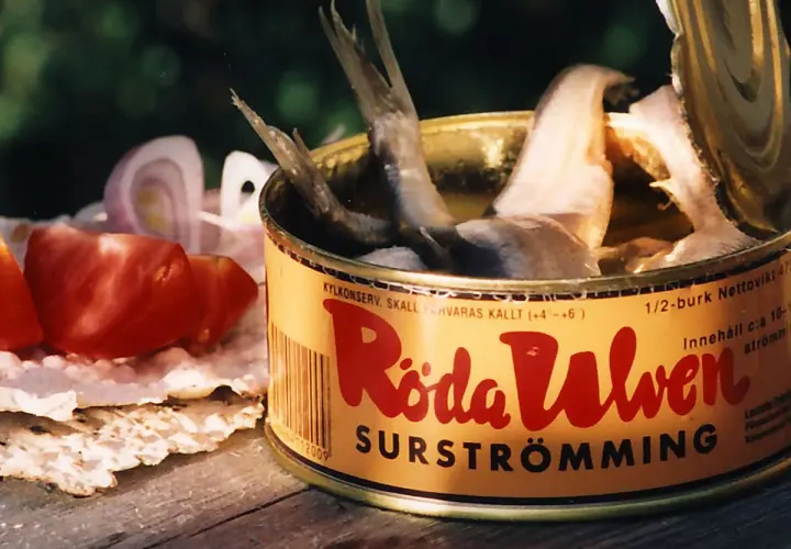 Dose mit Surströmming, dem schwedischen fermentierten Fisch, daneben Tomaten und Zwiebeln auf Knäckebrot.