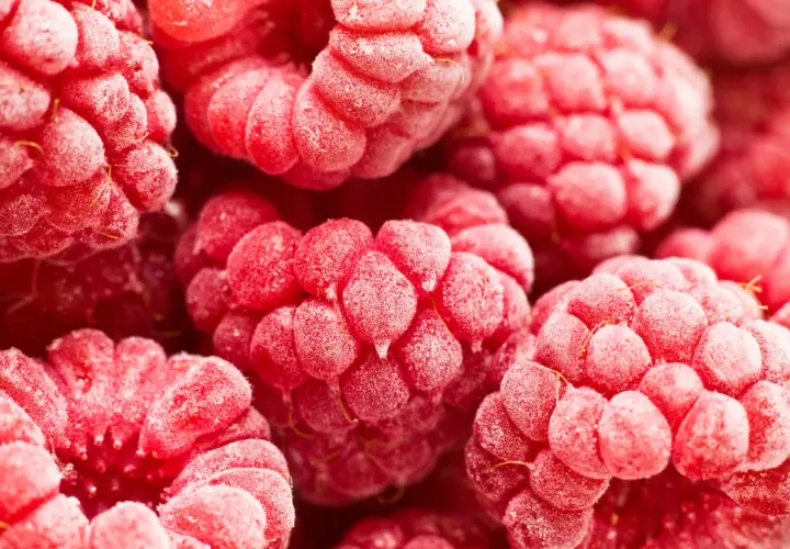 Nahaufnahme von gefrorenen Himbeeren. Schockfrosten Nachteile: Texturverlust, aber die Farbe bleibt leuchtend.
