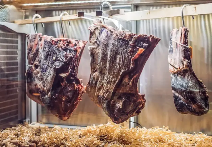 Drei große Fleischstücke hängen in einer Kühlkammer, bereit zum **Fleisch fermentieren**. Darunter liegen Holzspäne und Korken.