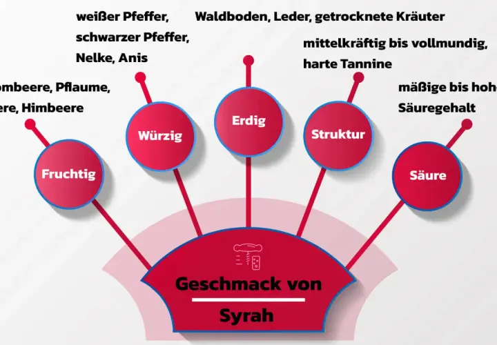 Der Geschmack von Syrah: fruchtig, würzig, erdig, mit Struktur und Säure. Noten von Brombeere, Pfeffer, Leder und Kräutern.