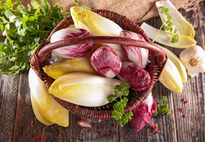 Korb mit frischem Chicorée und Radicchio, bereit, roh gegessen zu werden. Daneben liegen Knoblauch und Petersilie.
