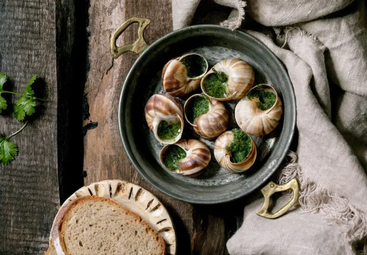 Schnecken in Kräuterbutter, serviert mit Brot. Ein Blick auf die Zubereitung verrät, wie schmecken Schnecken: zart und würzig.