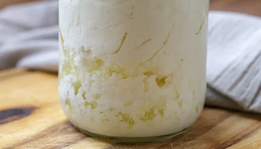 Kefir-Körner im Glas, bereit zum Kefir einfrieren. Die Körner sind von einer cremigen Masse umgeben.