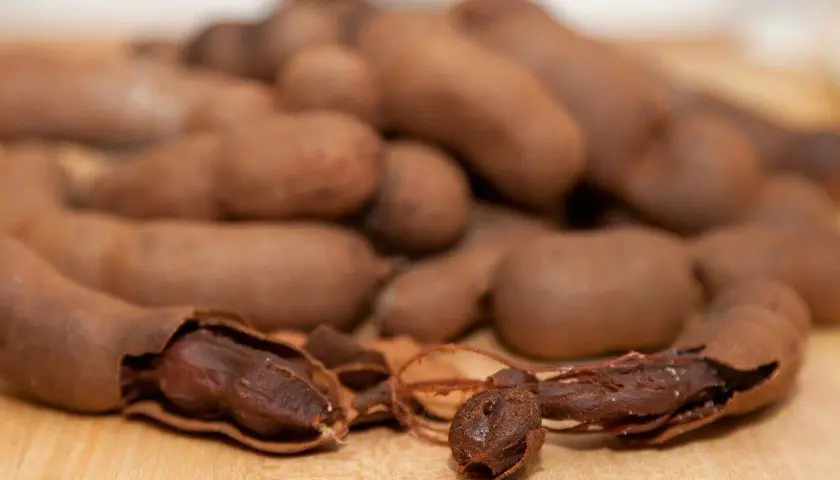 Ein Haufen brauner Tamarindenfrüchte, eine davon geöffnet, zeigt das dunkle Fruchtfleisch. Vielseitige Tamarinde Verwendung in Küche und Medizin.