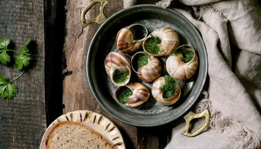 Schnecken in Kräuterbutter, serviert mit Brot. Ein Blick auf die Zubereitung verrät, wie schmecken Schnecken: zart und würzig.