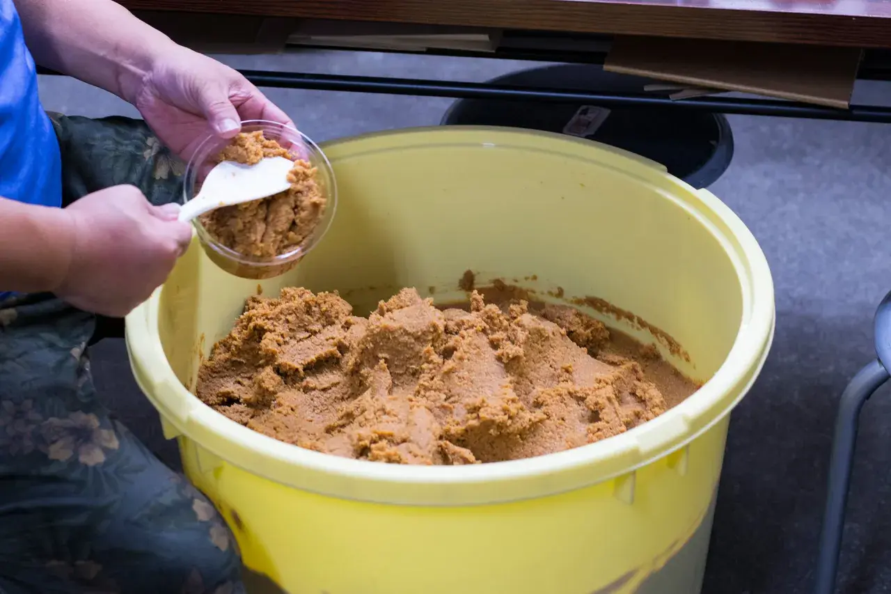 Eine Hand schöpft Miso-Paste aus einem großen Behälter. Die Frage, wie lange ist Miso Paste haltbar, ist wichtig für die Lagerung.