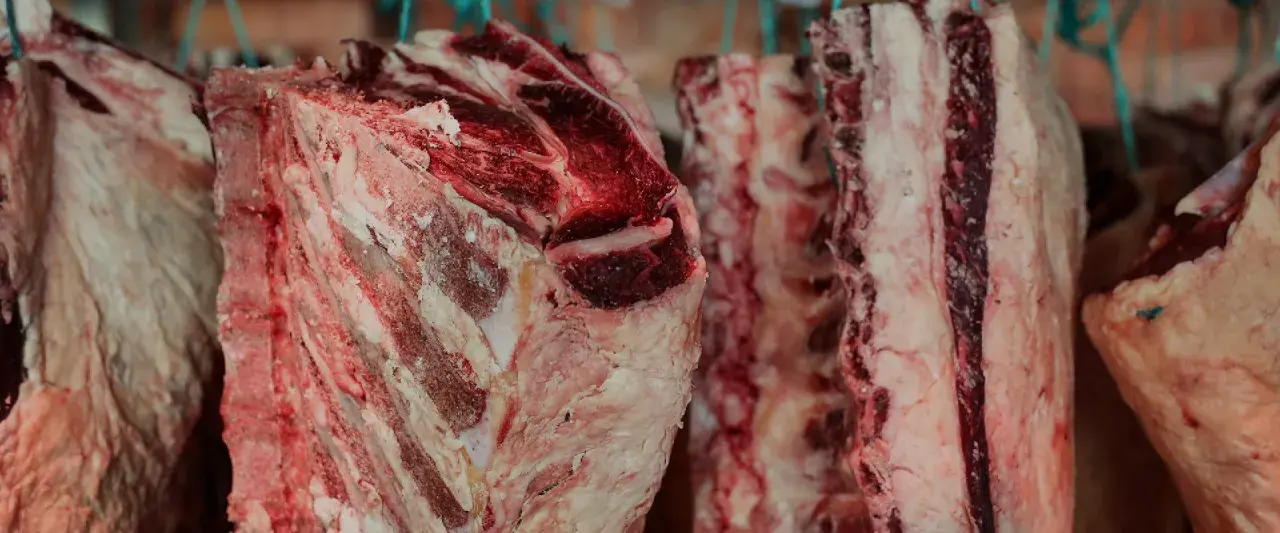 Mehrere grobe Stücke gereiftes Fleisch hängen an Haken. Die Fleischstücke zeigen deutliche Marmorierung und Fettanteile.