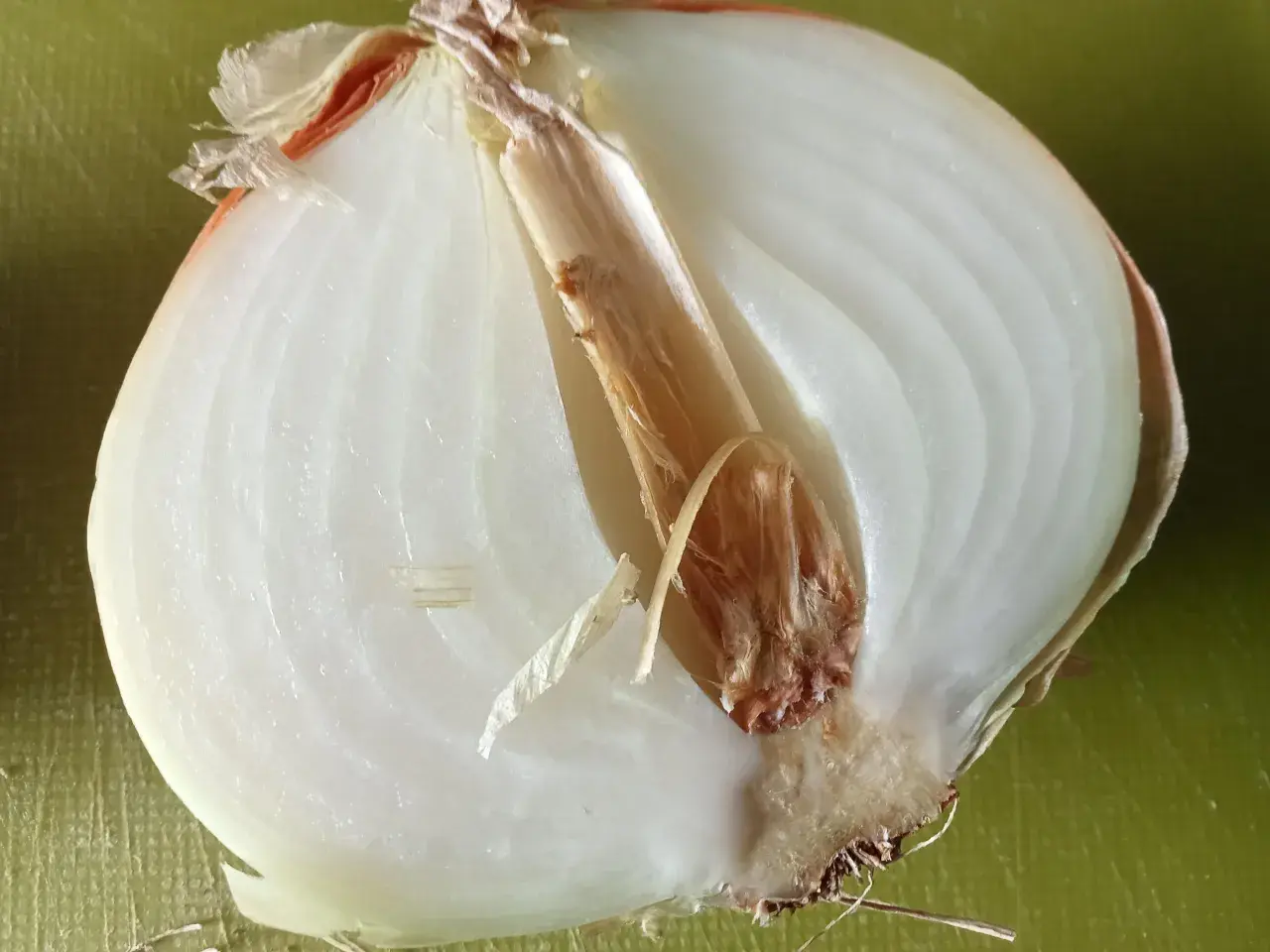 Schnittzwiebel mit braunem Kern und welken Schichten. So erkennst du schlechte Zwiebeln.