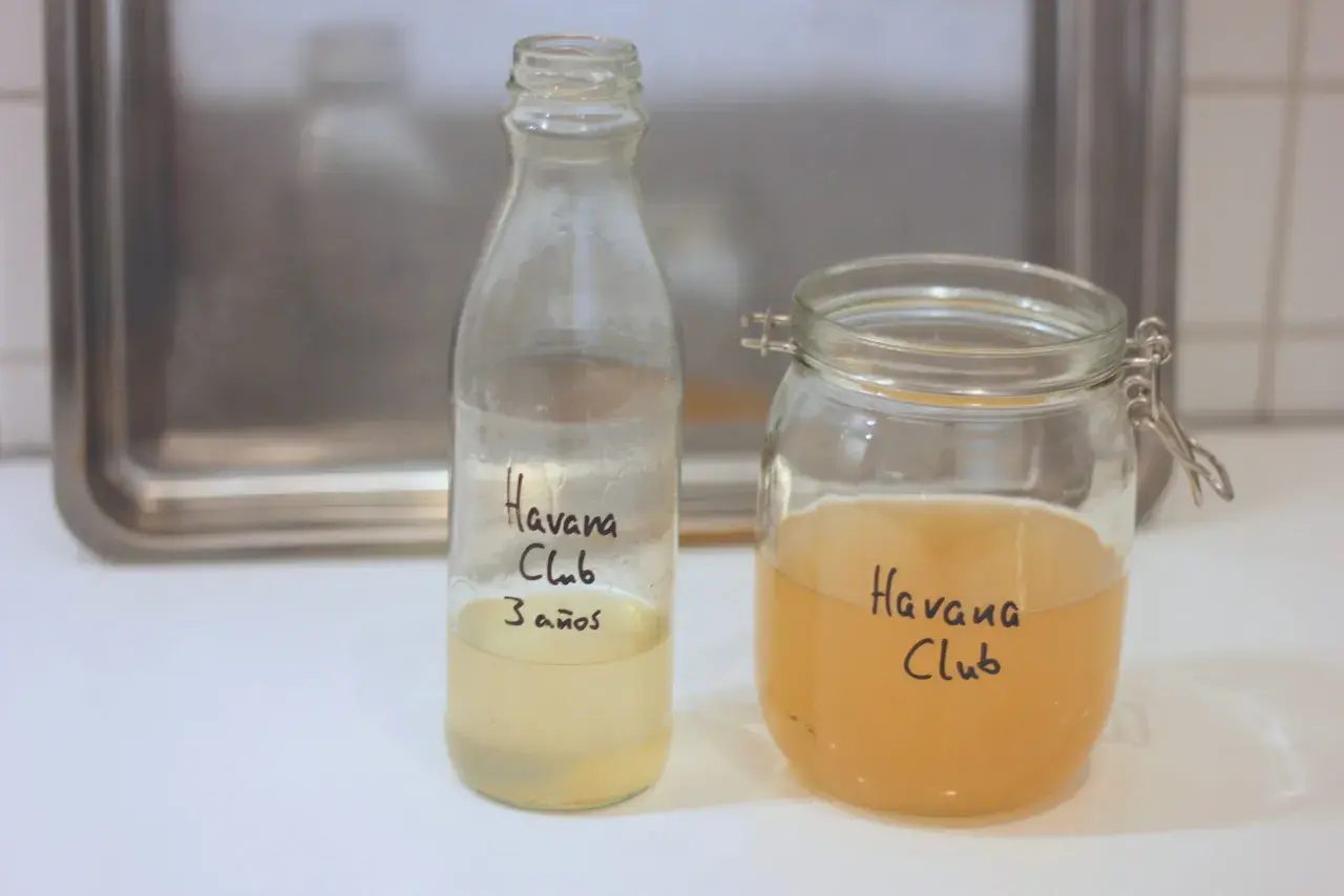 Zwei Gläser mit Flüssigkeit, beschriftet mit "Havana Club". Eines enthält eine hellere Flüssigkeit, das andere eine bernsteinfarbene. Vielleicht ein Experiment mit kahmhefe essig?