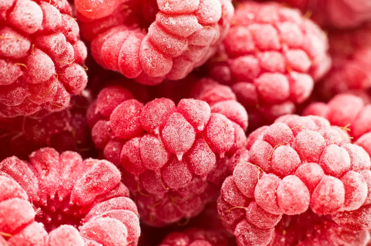 Nahaufnahme von gefrorenen Himbeeren. Schockfrosten Nachteile: Texturverlust, aber die Farbe bleibt leuchtend.
