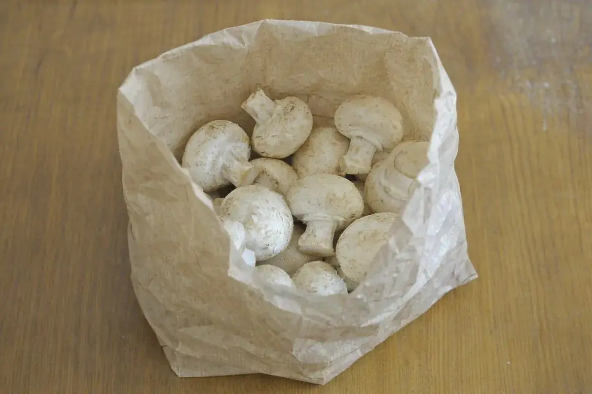 Frische Champignons lagern in einer Papiertüte auf einem Holztisch.
