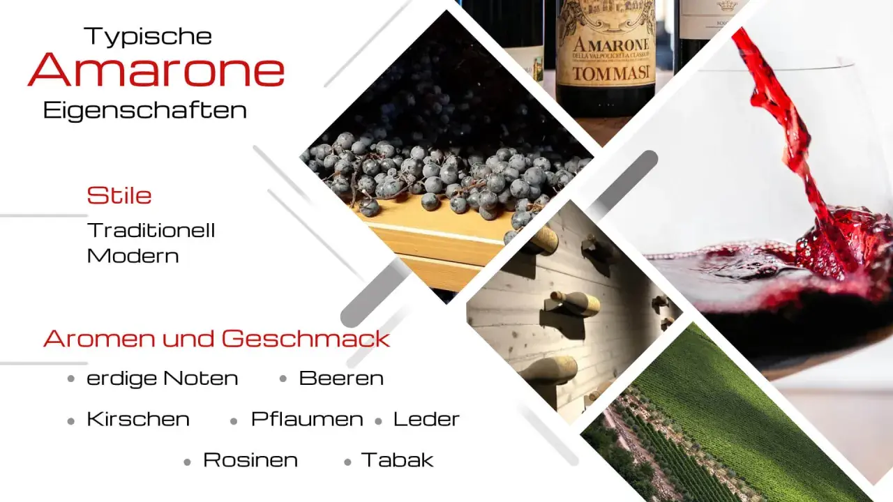 Frische Amarone Trauben, Flaschen und ein Glas Rotwein. Aromen von Beeren, Kirschen und Tabak.