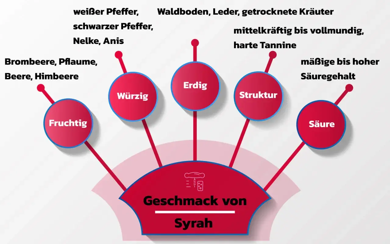 Der Geschmack von Syrah: fruchtig, würzig, erdig, mit Struktur und Säure. Noten von Brombeere, Pfeffer, Leder und Kräutern.