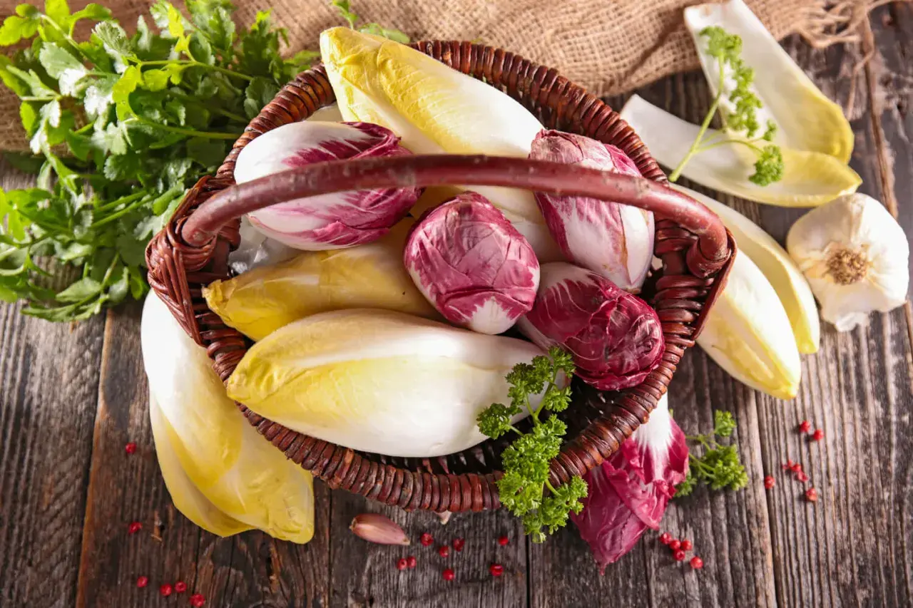 Korb mit frischem Chicorée und Radicchio, bereit, roh gegessen zu werden. Daneben liegen Knoblauch und Petersilie.