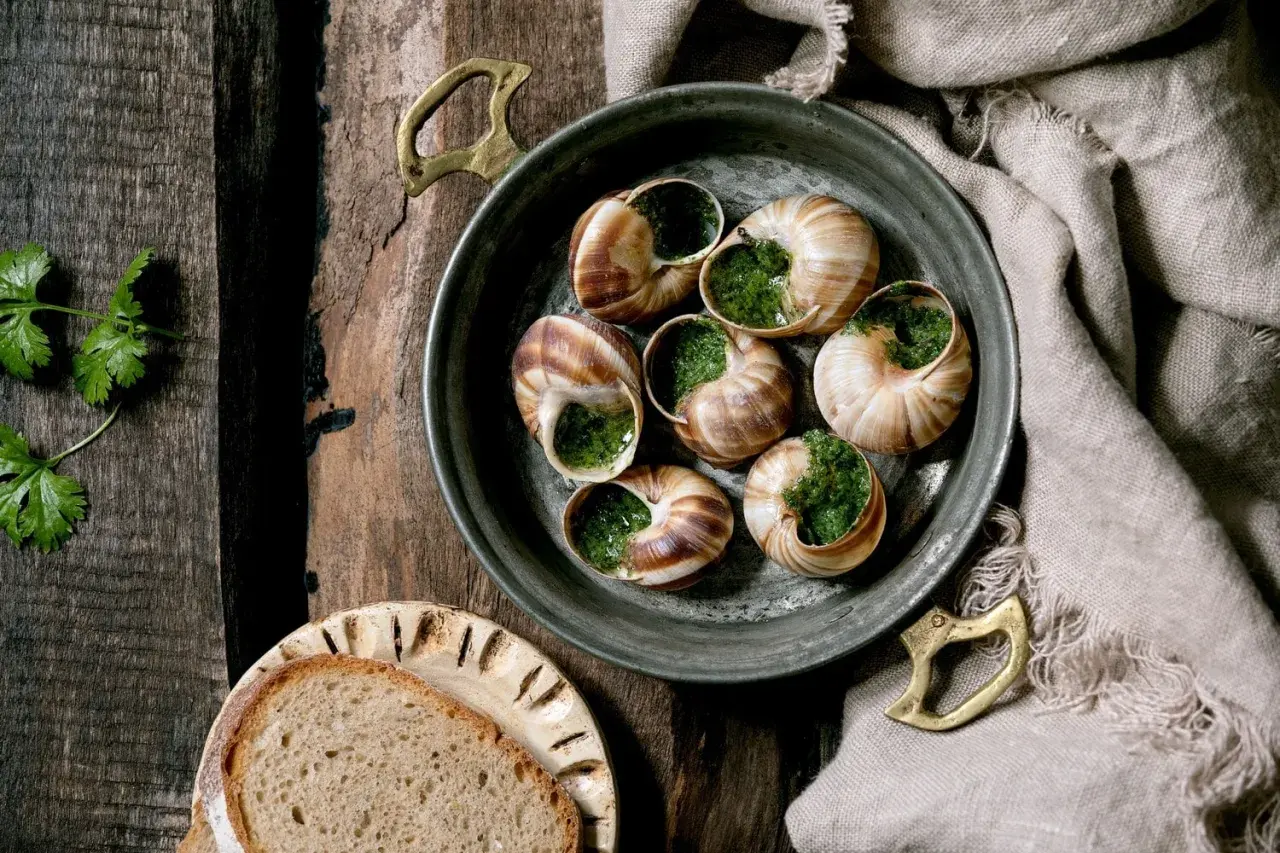 Schnecken in Kräuterbutter, serviert mit Brot. Ein Blick auf die Zubereitung verrät, wie schmecken Schnecken: zart und würzig.