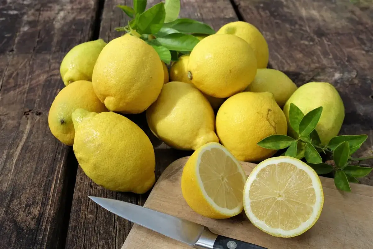 Frische Zitronen, bereit f&uuml;r k&ouml;stliche zitronen rezepte. Ein Messer liegt neben den auf einem Holzbrett aufgeschnittenen Fr&uuml;chten.