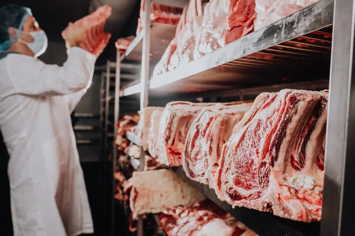 Fleisch wird in einem Kühlraum für die Reifung gelagert. Ein Metzger mit Maske und Kittel prüft die Qualität der Fleischstücke, die für das Fleisch fermentieren vorbereitet werden.
