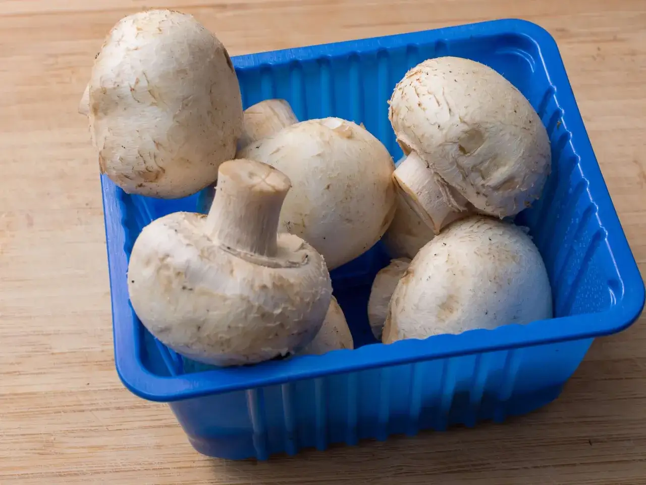 Frische Champignons in einer blauen Schale, bereit zum Lagern.