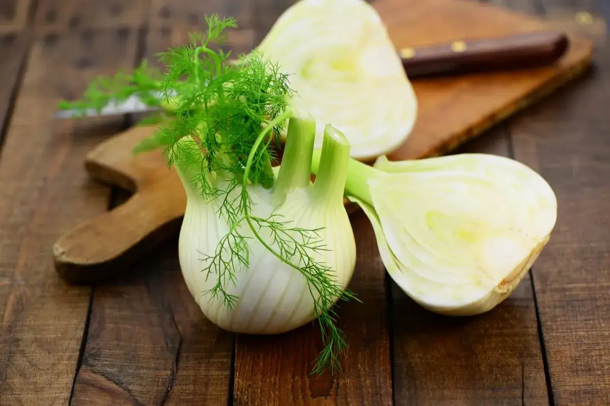 Frischer Fenchel mit seinem charakteristischen Anis-Aroma, bereit f&uuml;r die Zubereitung.