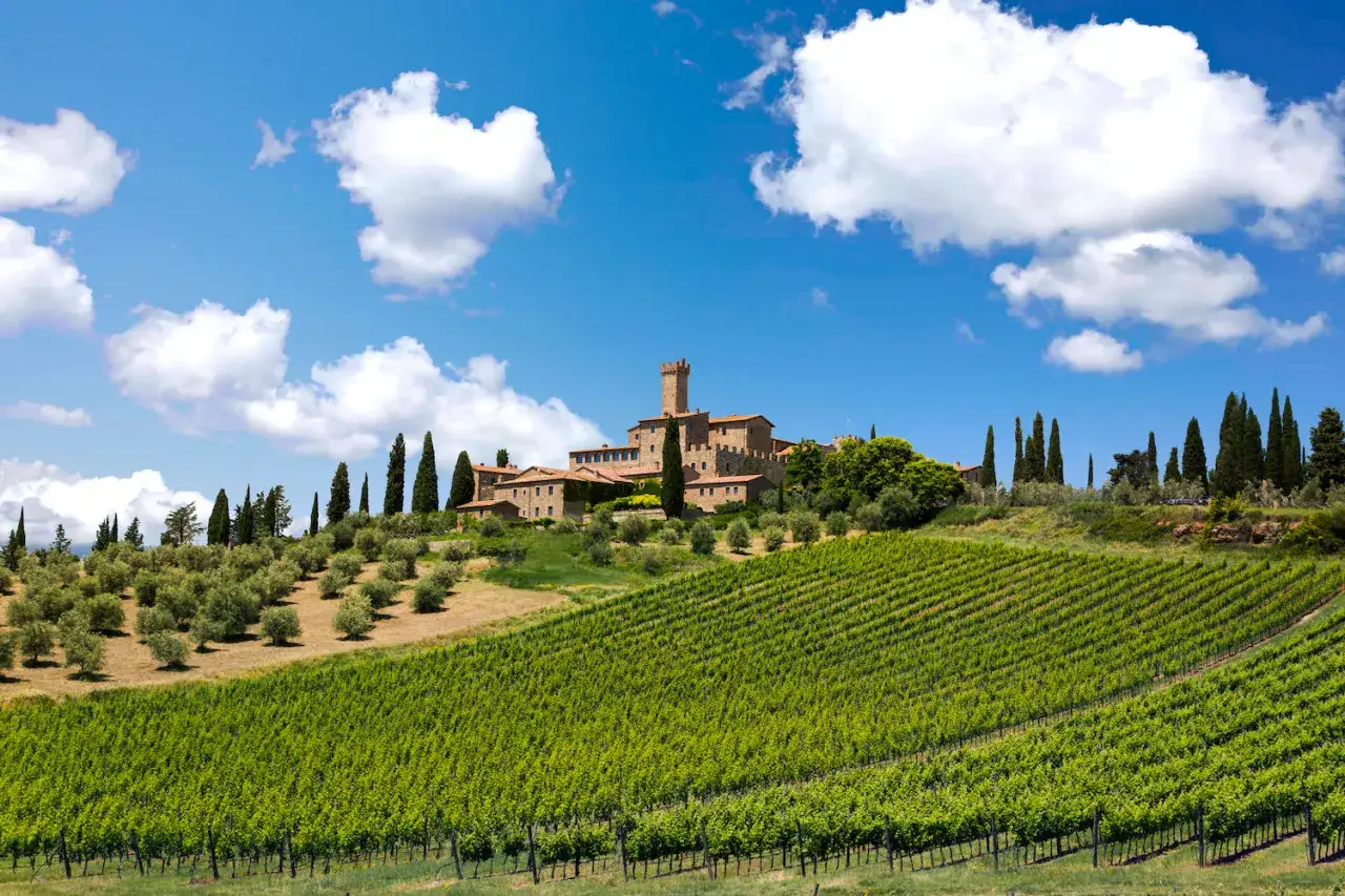Toskanische H&uuml;gel mit Weinbergen, Olivenb&auml;umen und einem Schloss, wo der ber&uuml;hmte Brunello di Montalcino w&auml;chst.
