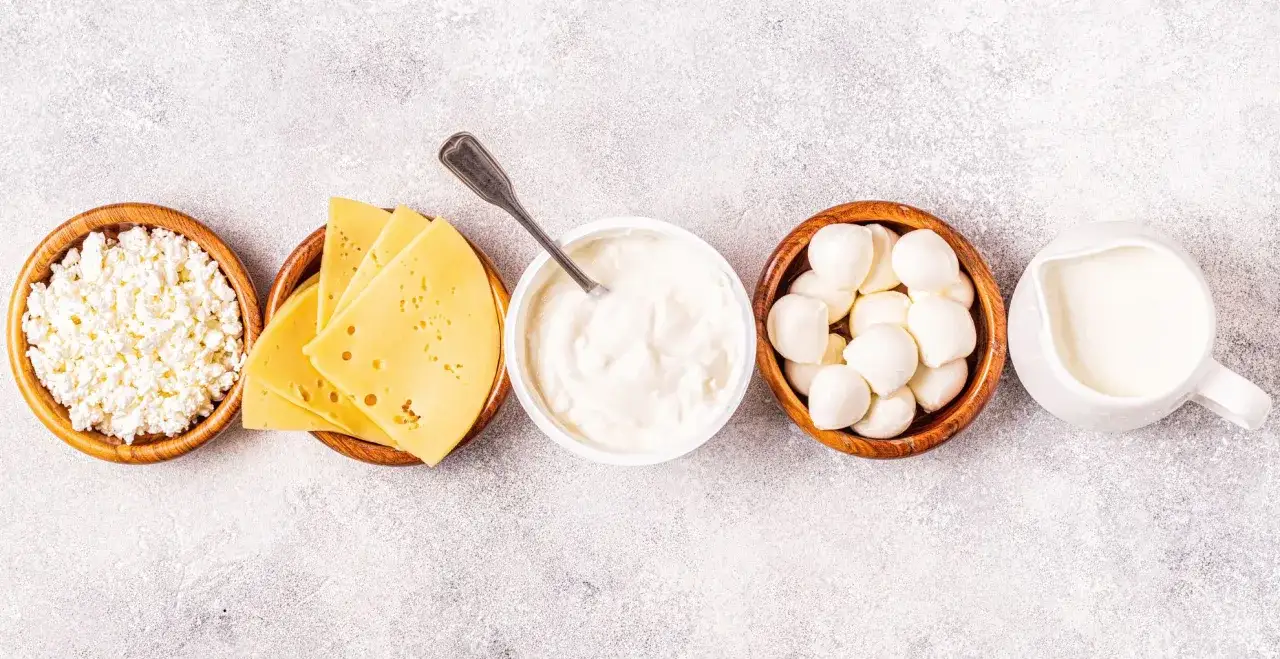 Reichhaltige Auswahl an fermentierten Milchprodukten: Quark, Käsescheiben, Joghurt, Mozzarella-Kugeln und Milch.