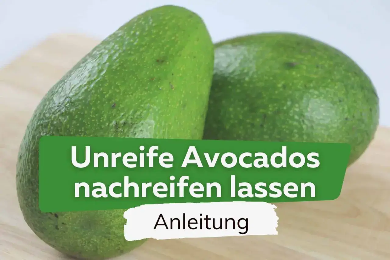 Zwei unreife Avocados liegen auf einem Holzbrett. Text: 