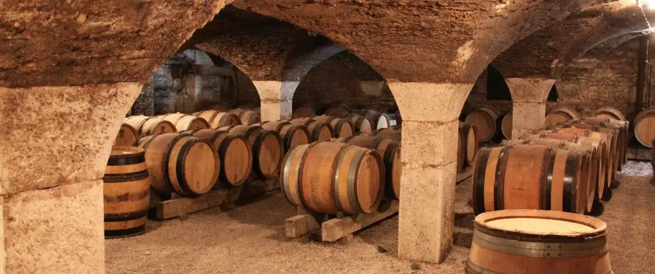 Holzfässer reifen in einem alten Keller. Hier lagert vielleicht ein edler Chardonnay, dessen Geschmack sich in diesen Fässern entwickelt.