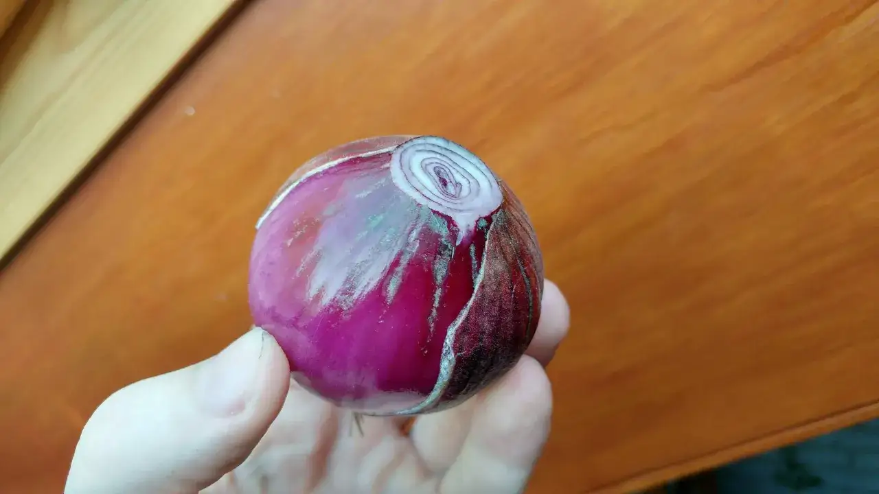 Rote Zwiebel mit feuchten, matten Stellen und leichtem Schimmel. So erkennt man schlechte Zwiebeln.