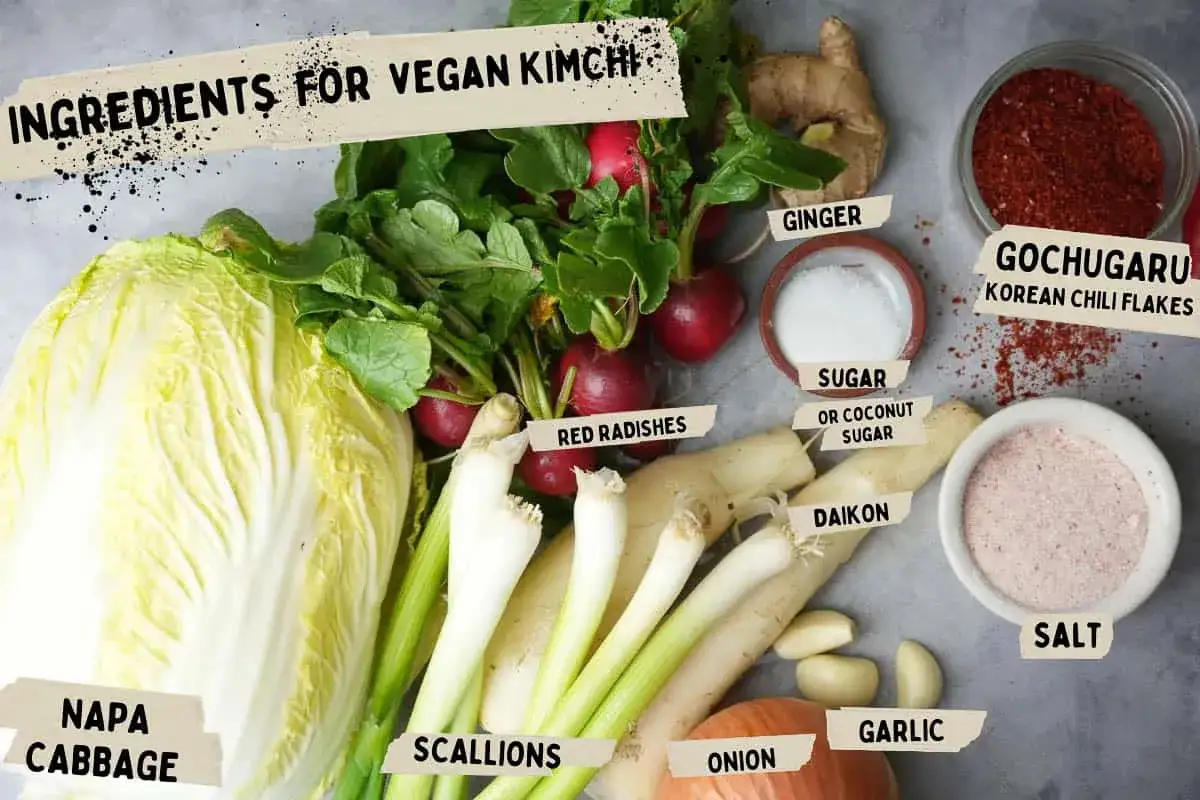 Zutaten für veganes Kimchi ohne Fischsauce: Chinakohl, Radieschen, Daikon, Frühlingszwiebeln, Ingwer, Knoblauch, Zwiebel, Gochugaru, Zucker & Salz.