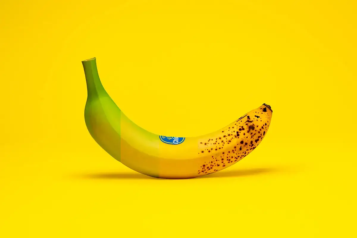 Eine Banane, die von gr&uuml;n (unreif) &uuml;ber gelb bis hin zu braun gefleckt reicht.