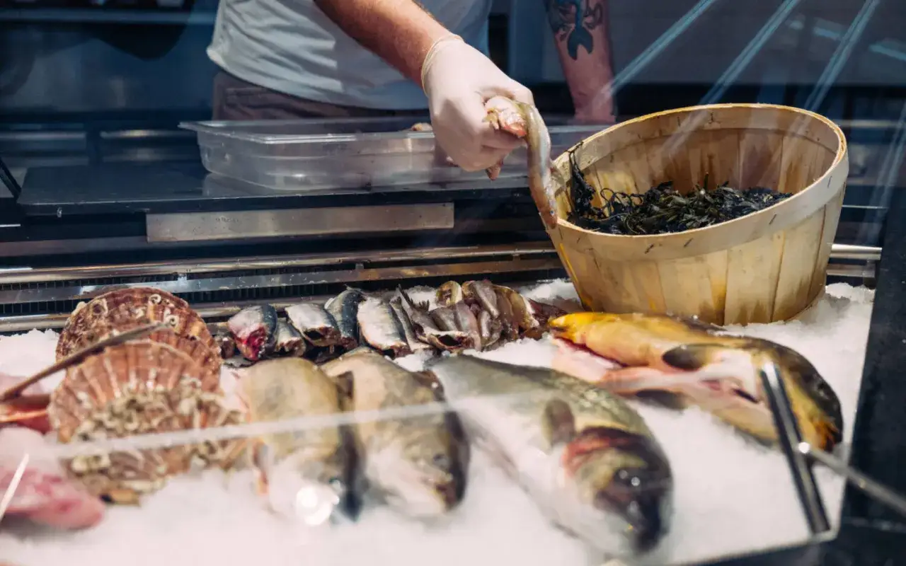 Frischer Fisch auf Eis: Jakobsmuscheln, Heringe, Makrelen und andere Fischarten zum Essen werden in einer Auslage präsentiert.