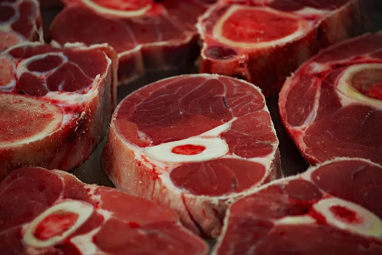 Frische Rinderbeinscheiben mit Knochen. Das Rindfleisch riecht komisch, aber die Textur ist vielversprechend für ein Osso Buco.